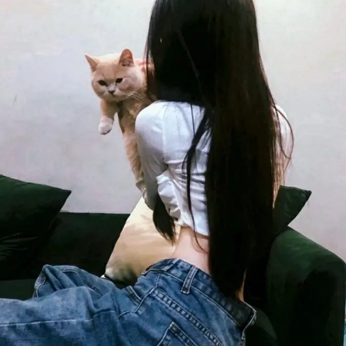 屋顶上的轻骑兵