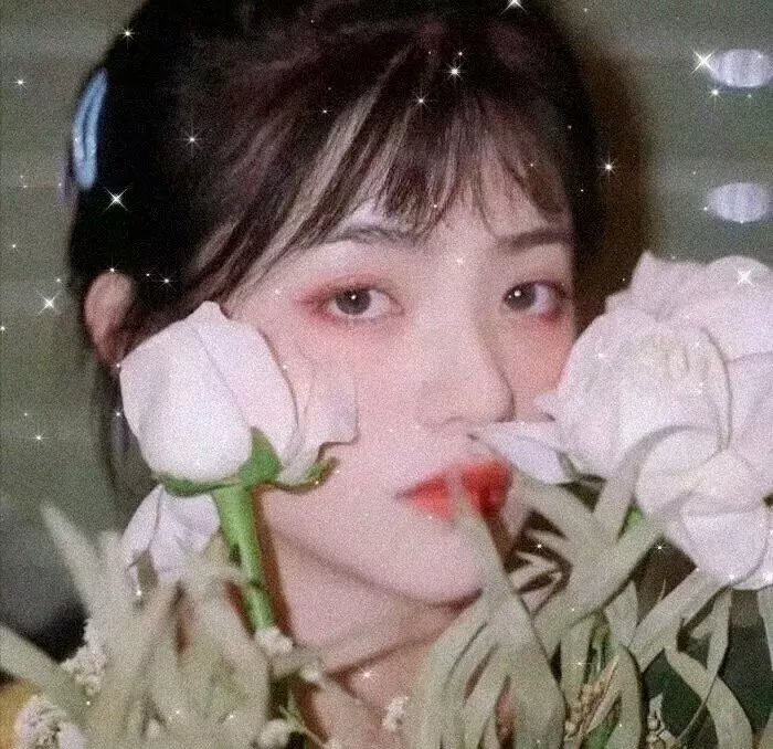 自杀森林