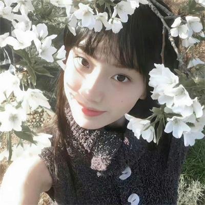 延禧攻略番外篇之金枝玉叶